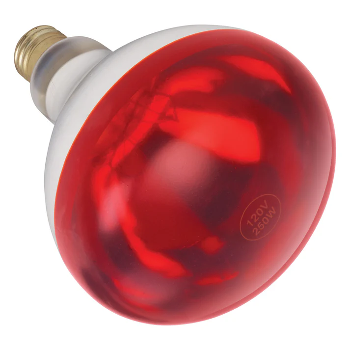 Shatter-Resistant Bulb, 250W, Red SKU: EHL-BR