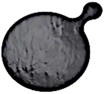 TERMOSTAR MATT STEMMED PRESENTATION 34 CM