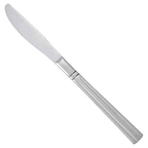 [0007-08] Regency Dinner Knife, 18/0 Heavyweight