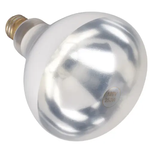 [EHL-BW] Shatter-Resistant Bulb, 250W, Clear