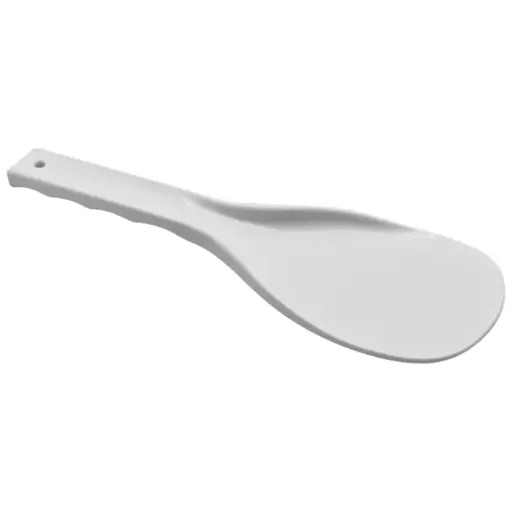 [RCW-P1] Serving Paddle
